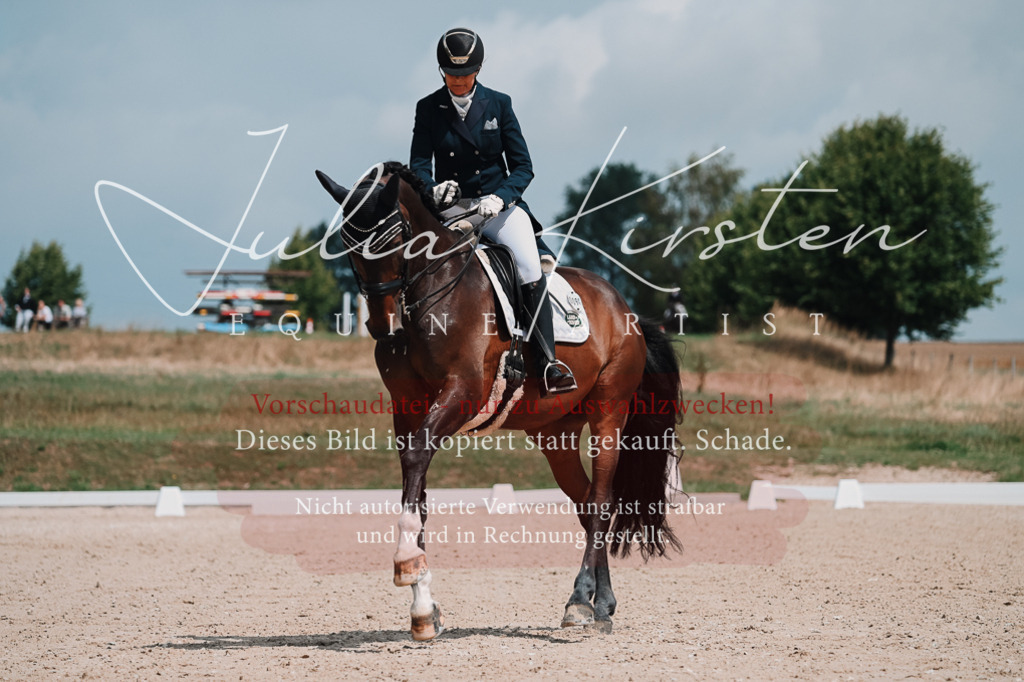 DSC_3869 | Pferde- und Turnierfotografie in Westsachsen. Pferdeportraits, Auftragszeichnungen und intuitive Kunst.