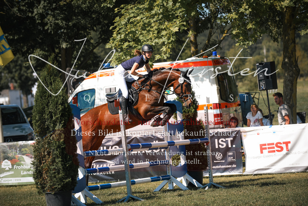 DSC_7222 | Pferde- und Turnierfotografie in Westsachsen. Pferdeportraits, Auftragszeichnungen und intuitive Kunst.