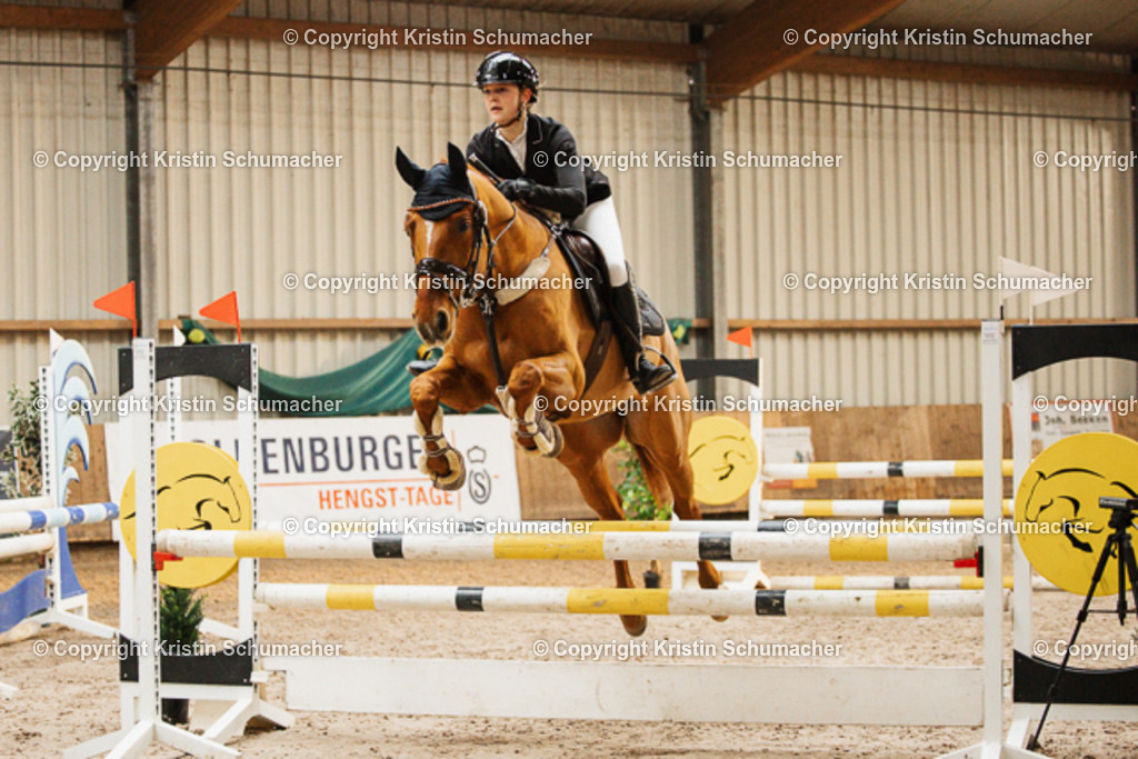 Springpferde A_-21 | Kristin Schumacher Photography