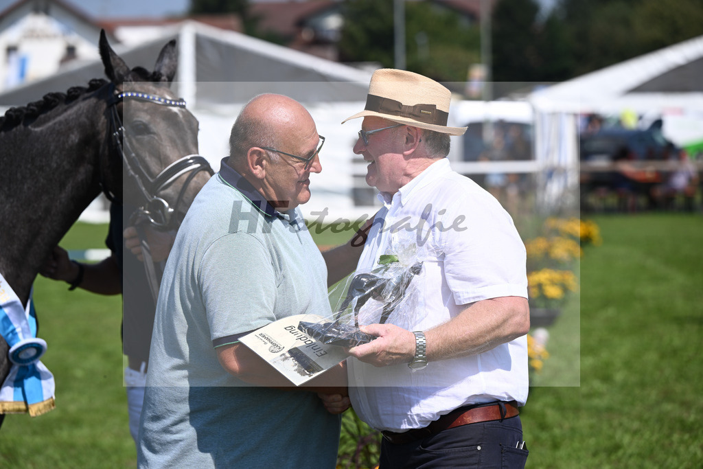 Kat-Nr. 28 nn v. Cayado_Sommer_34240602 | hf-fotografie - Realisiert mit Pictrs.com