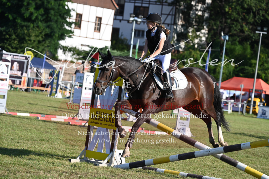 DSC_4681 | Pferde- und Turnierfotografie in Westsachsen. Pferdeportraits, Auftragszeichnungen und intuitive Kunst.