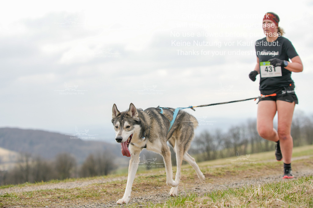 CaniXRunSA-180 | stephaniefillaphotographie - Realisiert mit Pictrs.com