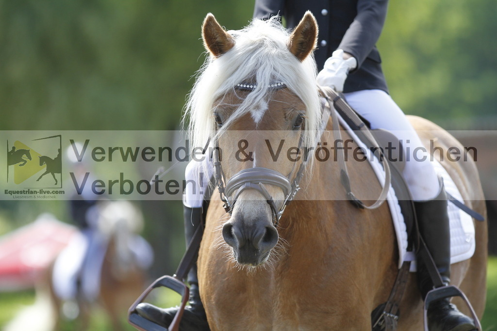 _MG_0222 | equestrian-live-com