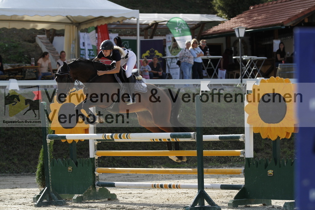 _MG_6016 | equestrian-live-com