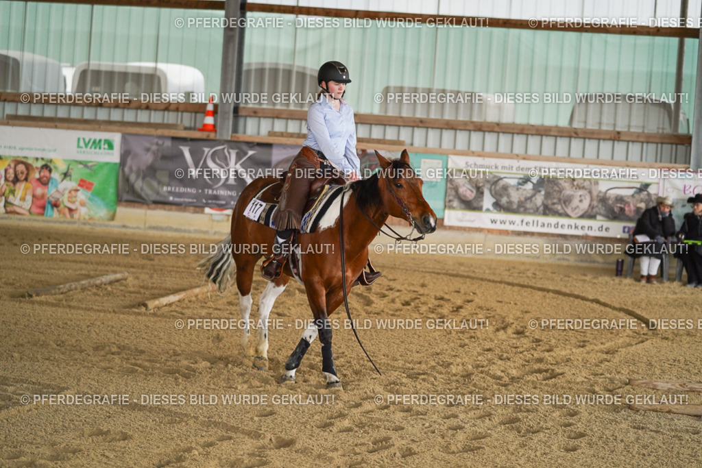 DSC06327 | Pferdegrafie