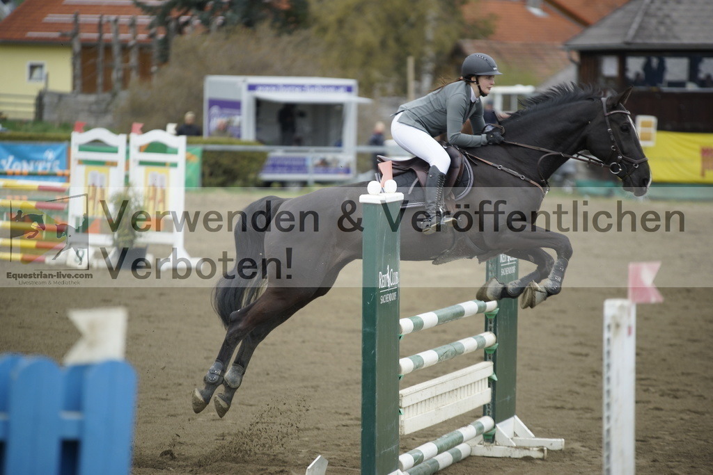 _DSC7138 | equestrian-live-com