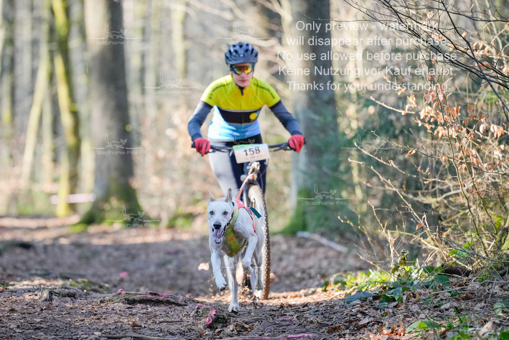 Scooter_So_So-7 | stephaniefillaphotographie - Realisiert mit Pictrs.com