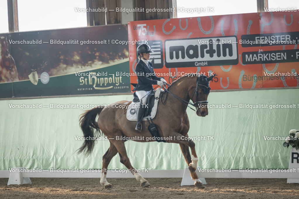 _D5A4200 | Emotionale Pferde- & People-Fotografie rund um Heidelberg, Leimen & Umgebung. Natürliche Fotos von Pferd, Mensch & Familie. Jetzt Termin sichern!