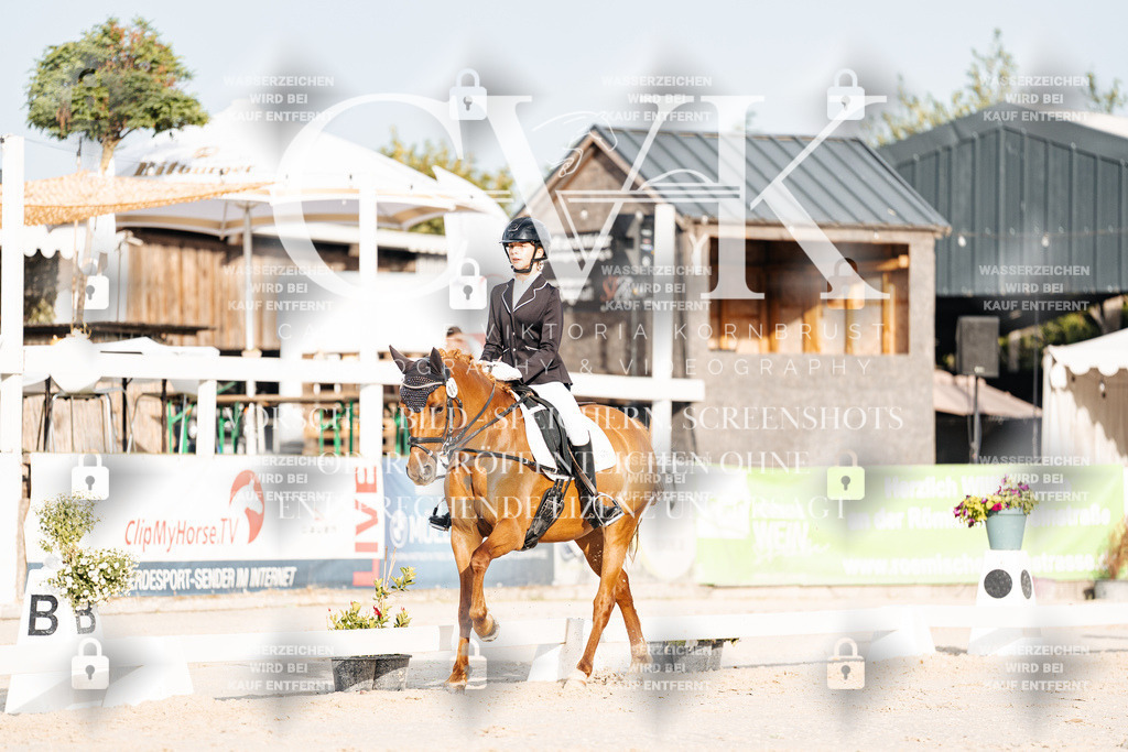 CK903825 | Turnierfotografie Pferdefotografie Trier Rheinland-Pfalz Pferdesport Reitsport Tierfotografie Sportfotografie Pferdevideo Pferdevideografie Equestrianvideography equestrianphotography  - Realisiert mit Pictrs.com