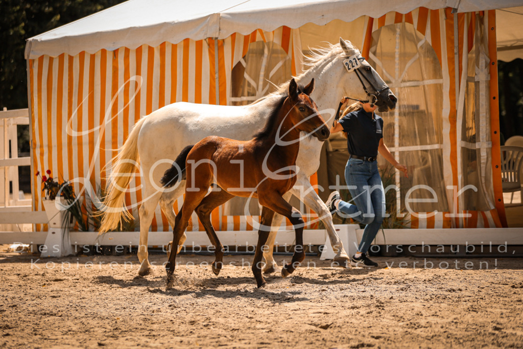 03.DoAB00046 | Leoni Ertmer Photography - Realisiert mit Pictrs.com