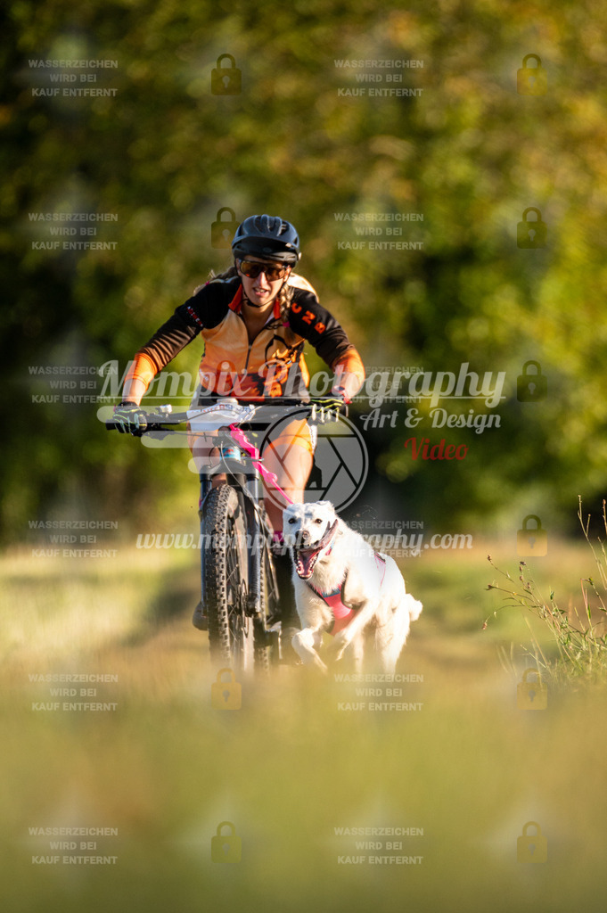 CDLBDB_15_10_2023_Dimanche-113 | PayLife