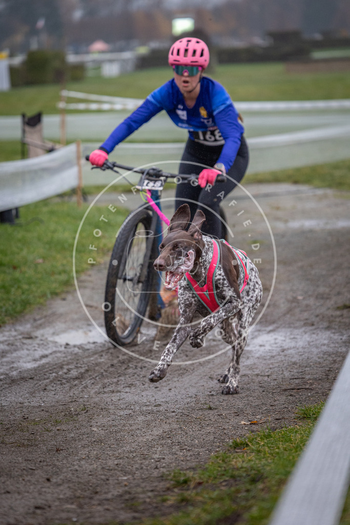 CaniXpix_0L8A0661 | Hundefotografie, Tierfotograf, Pfotenfotografie, Fotoshooting Hund, Hunde Portrait, Hundesport, Hundeportraits, Heideshooting, Hunde, Sportfotograf, Hundefotograf, Turnierhundsport, THS,  - Realisiert mit Pictrs.com