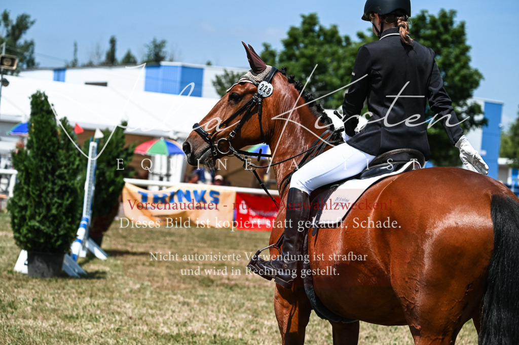 DSC_9878 | Pferde- und Turnierfotografie in Westsachsen. Pferdeportraits, Auftragszeichnungen und intuitive Kunst.