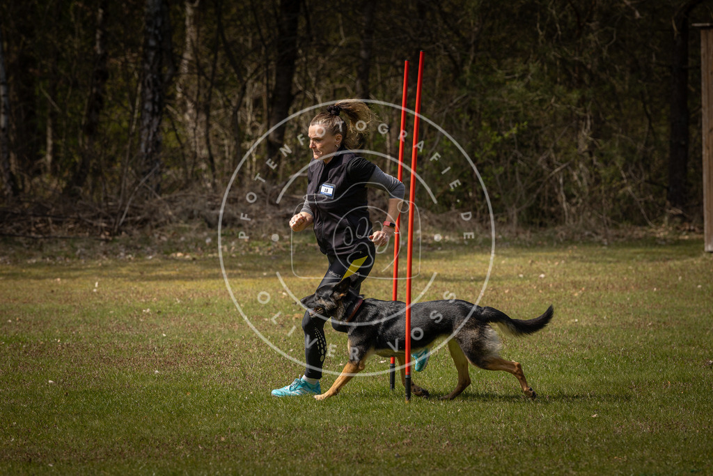 Pfotenfotografie_DV3A4245 | Hundefotografie, Tierfotograf, Pfotenfotografie, Fotoshooting Hund, Hunde Portrait, Hundesport, Hundeportraits, Heideshooting, Hunde, Sportfotograf, Hundefotograf, Turnierhundsport, THS,  - Realisiert mit Pictrs.com