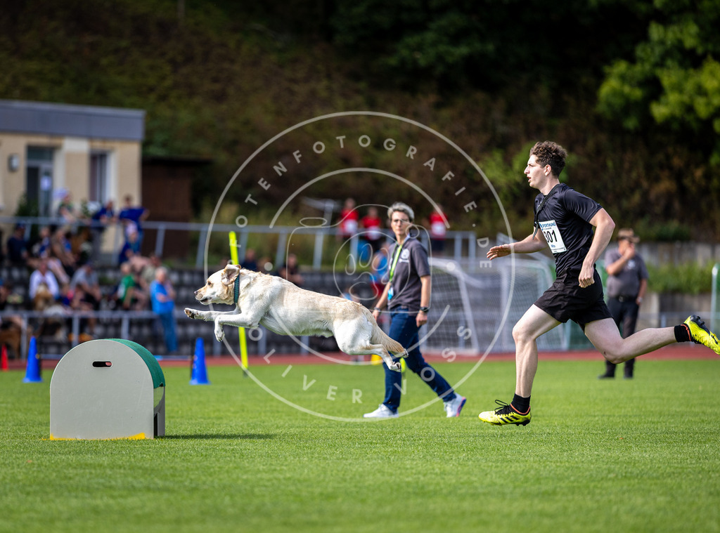 Pfotenfotografie_DV3A1137 | Hundefotografie, Tierfotograf, Pfotenfotografie, Fotoshooting Hund, Hunde Portrait, Hundesport, Hundeportraits, Heideshooting, Hunde, Sportfotograf, Hundefotograf, Turnierhundsport, THS,  - Realisiert mit Pictrs.com