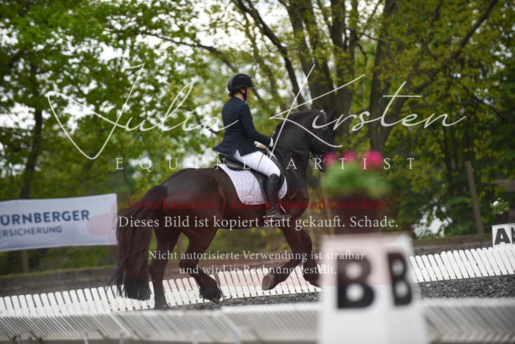 20230513_JK-Röhrsdorf-15-039 | Pferde- und Turnierfotografie in Westsachsen. Pferdeportraits, Auftragszeichnungen und intuitive Kunst.