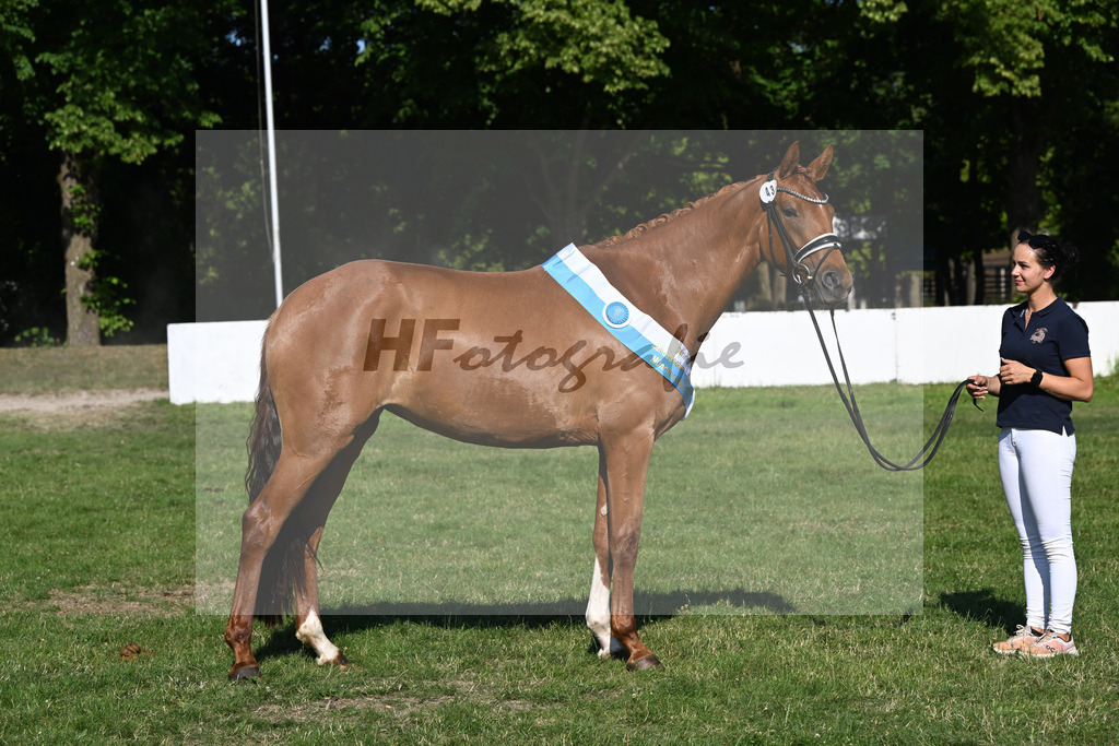 Kat-Nr. 43 Bonjour la Rouge K v. Dynamic Dream_Silvestre_19251525 | hf-fotografie - Realizzato con Pictrs.com