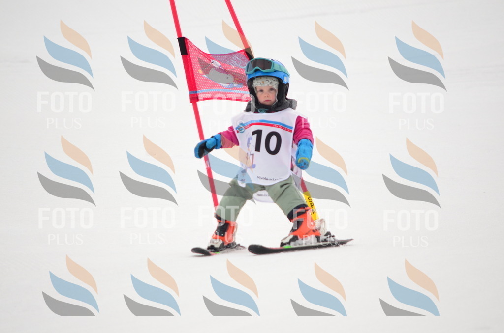 B8981 | holidayphoto