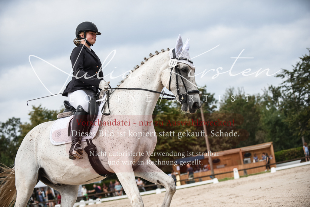 DSC_8509 | Pferde- und Turnierfotografie in Westsachsen. Pferdeportraits, Auftragszeichnungen und intuitive Kunst.