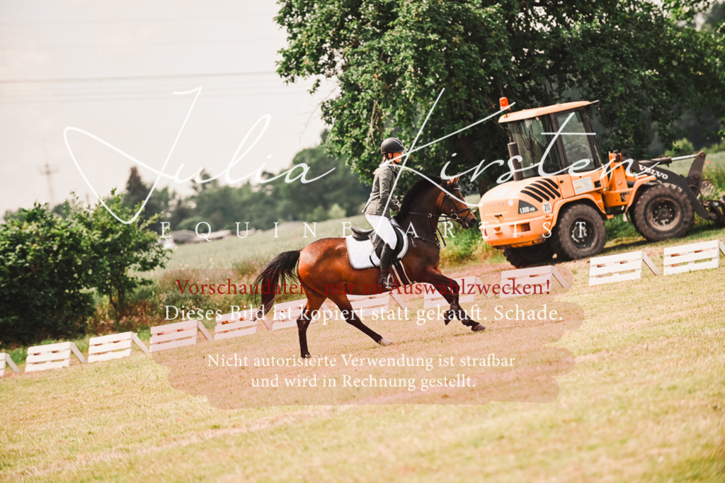 DSC_6922 | Pferde- und Turnierfotografie in Westsachsen. Pferdeportraits, Auftragszeichnungen und intuitive Kunst.