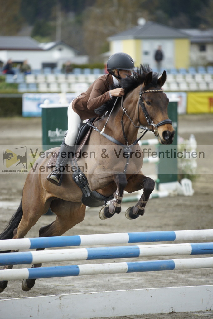 _DSC7880 | equestrian-live-com