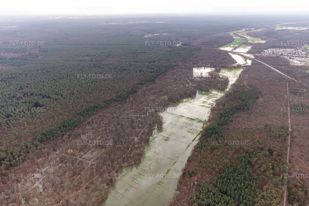 Luftbild: Otterbach mit überschwemmten Wiesen im Bienwald in Wörth am Rhein im Bundesland Rheinland-Pfalz in Deutschland. Foto: IMG_124284.jpg vom 04.02.2021 durch Werner Riehm/FLY-FOTO.de