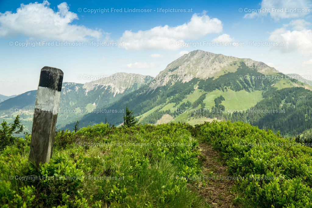 Rotsohl Turnauer Alm Turntaler KogelDSC00230  | Fotos und Fotoprodukte - Realisiert mit Pictrs.com