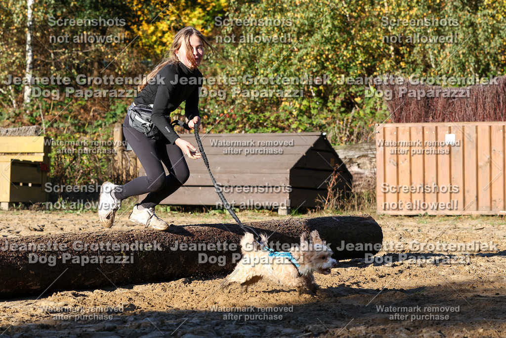 Dog Paparazzi - Strongdog 10-25-1410 | Dog Paparazzi Jeanette Grottendiek Fotografie & Videografie - Realisiert mit Pictrs.com