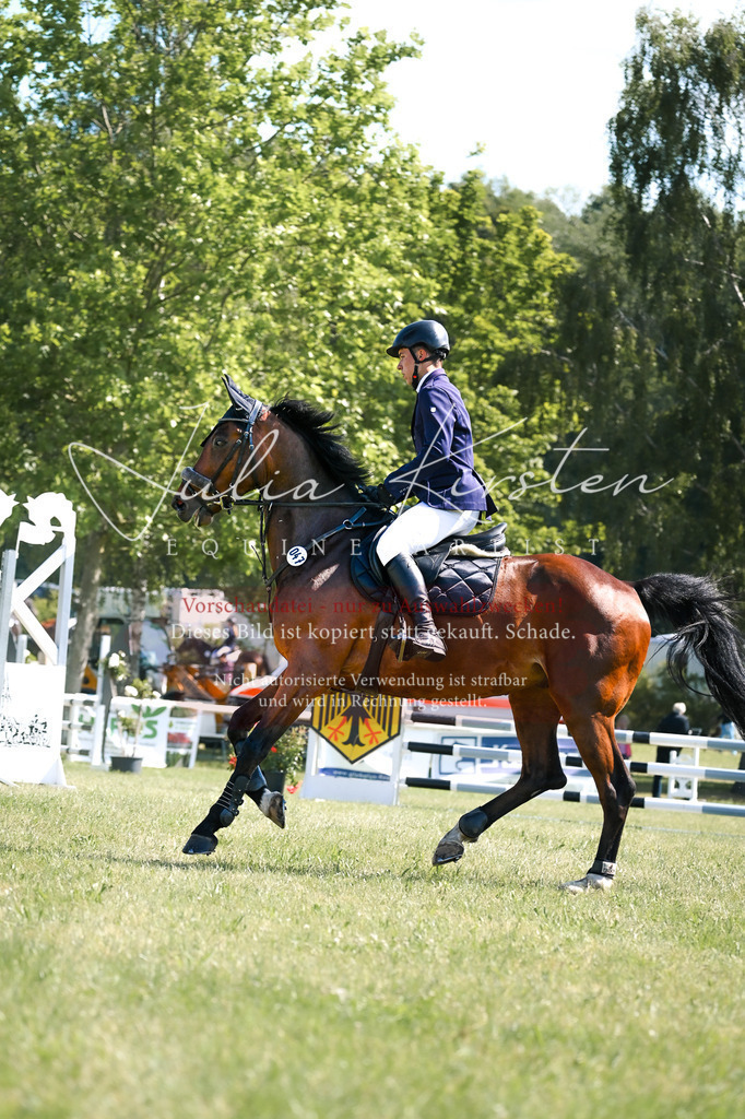 DSC_8777 | Pferde- und Turnierfotografie in Westsachsen. Pferdeportraits, Auftragszeichnungen und intuitive Kunst.