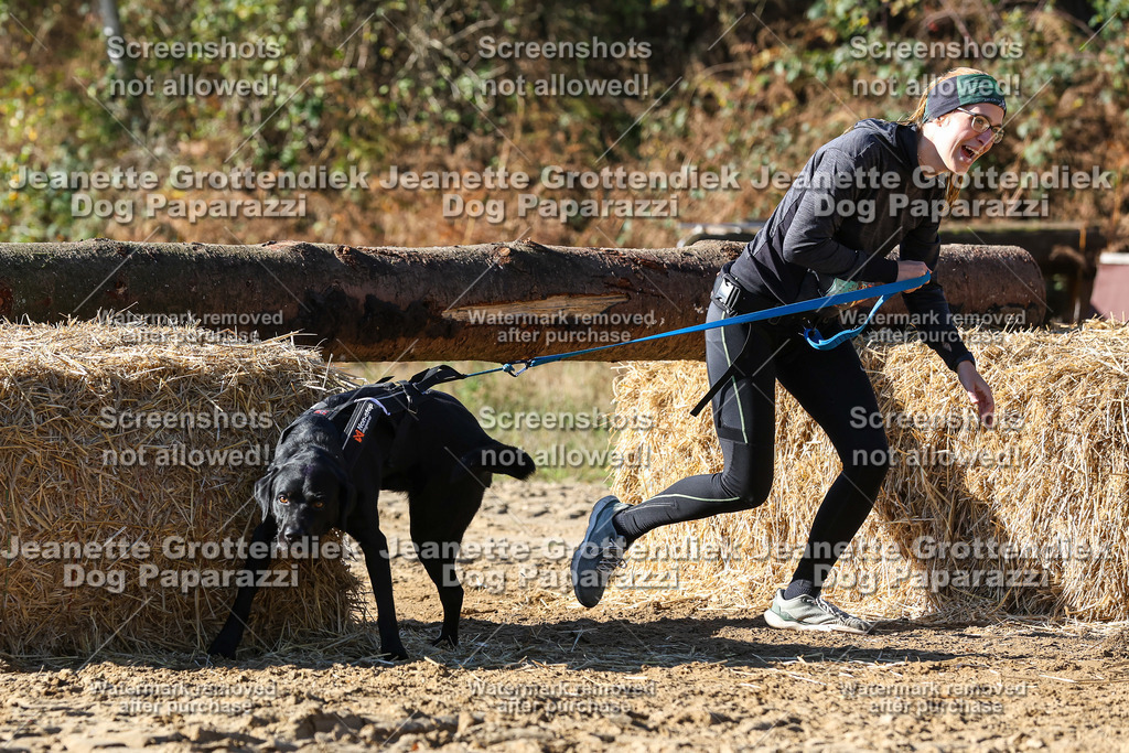 Dog Paparazzi - Strongdog 10-25-2806 | Dog Paparazzi Jeanette Grottendiek Fotografie & Videografie - Realisiert mit Pictrs.com
