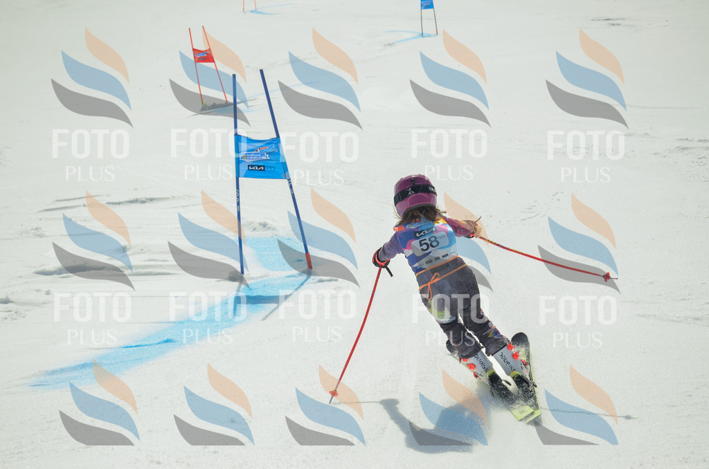 _ELE5292 | holidayphoto