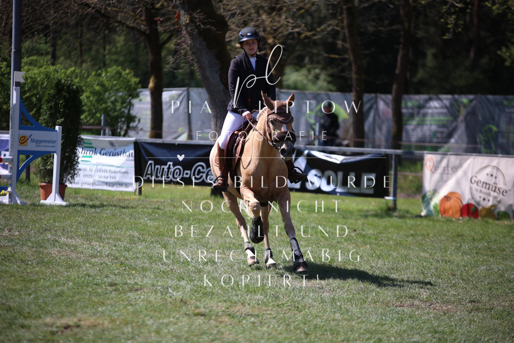 IMGT8143 | pl-fotografie