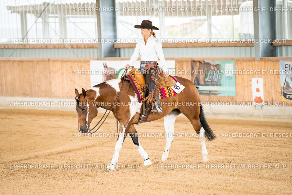 DSC01805 | Pferdegrafie