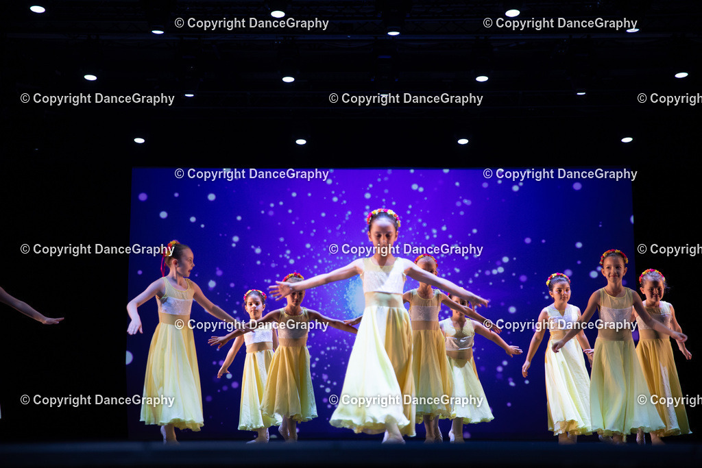 GPHY4729 | DanceGraphy - Realisiert mit Pictrs.com