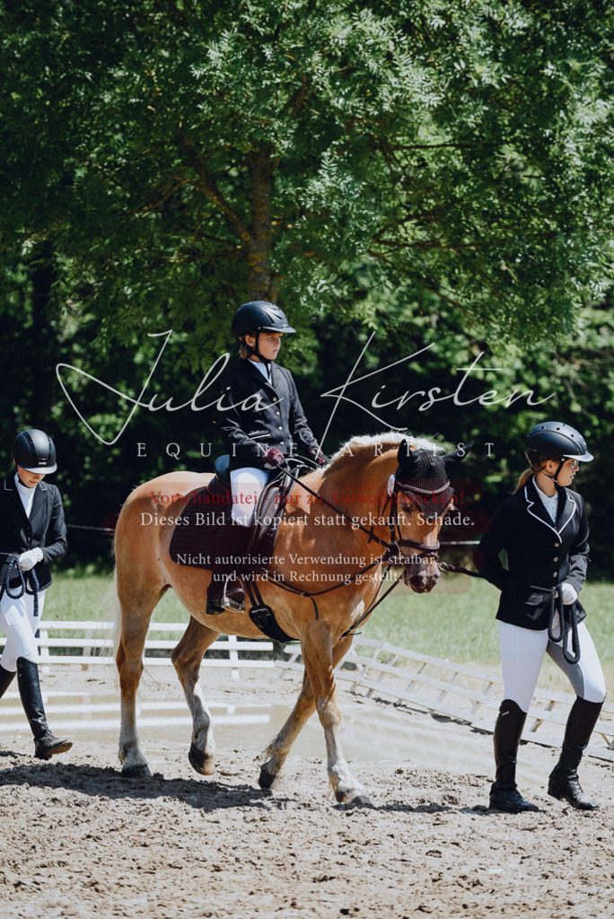 DSC_2099 | Pferde- und Turnierfotografie in Westsachsen. Pferdeportraits, Auftragszeichnungen und intuitive Kunst.