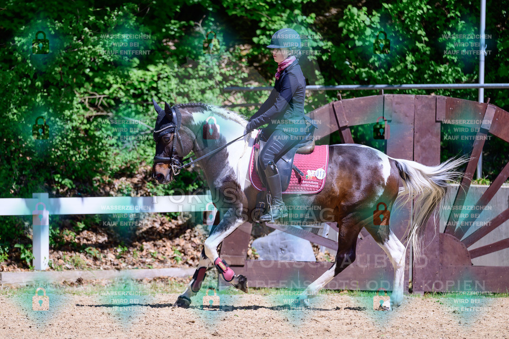01052026-Giesenbach-02-Stiltrail-0206 | Fokus Hufschlag Fotografie - Realisiert mit Pictrs.com