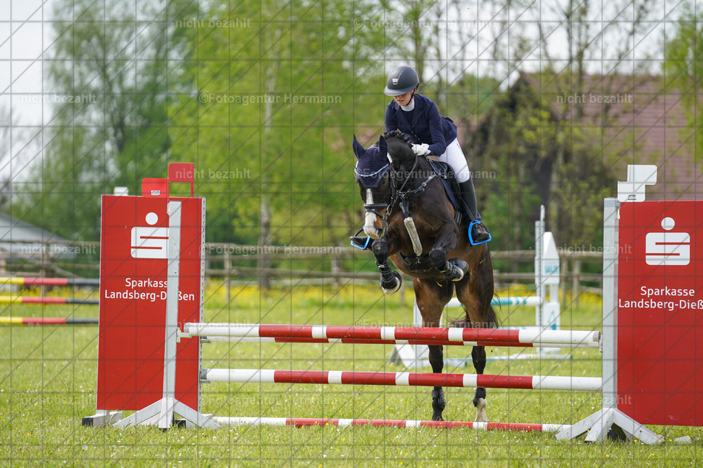 20230520-FAH05006 | Frühjahrsturnier, Landsberg am Lech, 2023, Reitclub Landsberg, Turnierbilder, Fotos Turnier Landsberg, Fotoagentur Herrmann, Turnierfotografen Bayern, Reitsport Fotograf, Pferde Fotograf