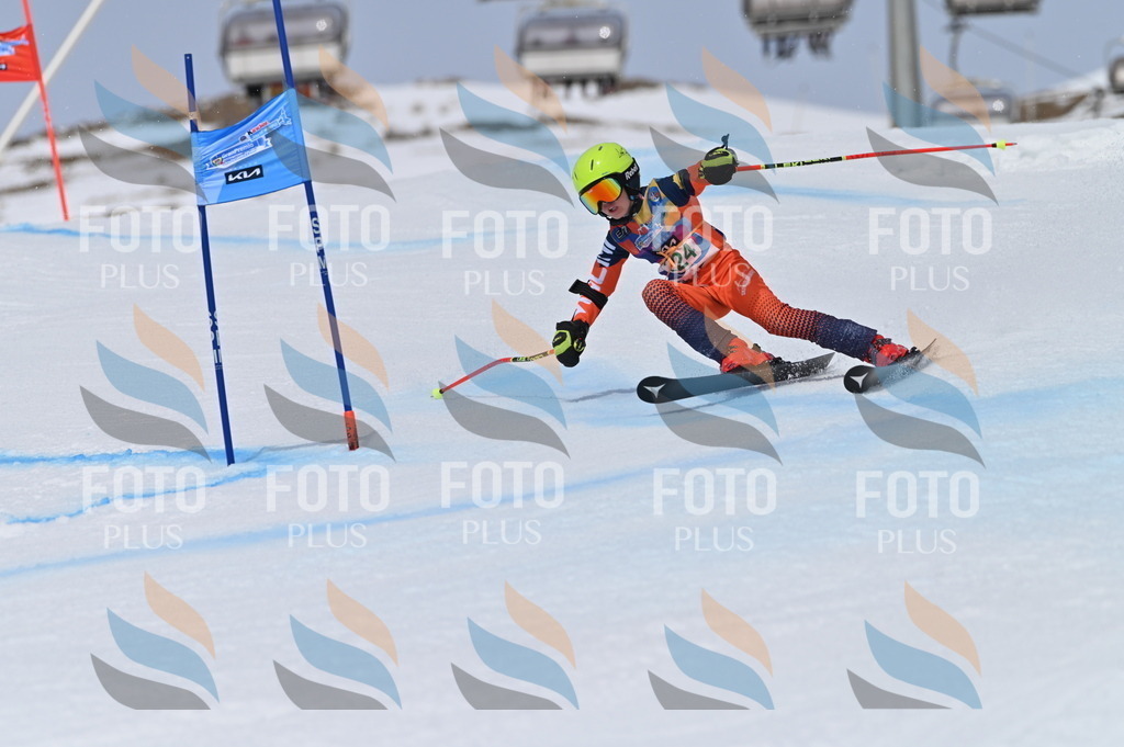 BGV_4408 | holidayphoto