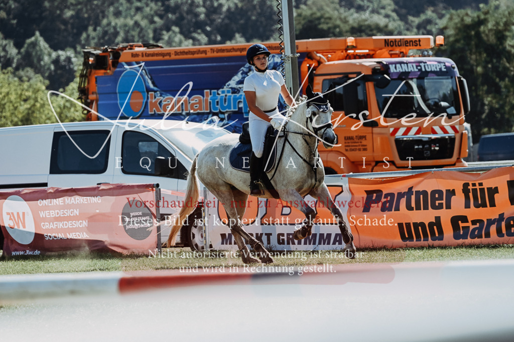 DSC_6528 | Pferde- und Turnierfotografie in Westsachsen. Pferdeportraits, Auftragszeichnungen und intuitive Kunst.