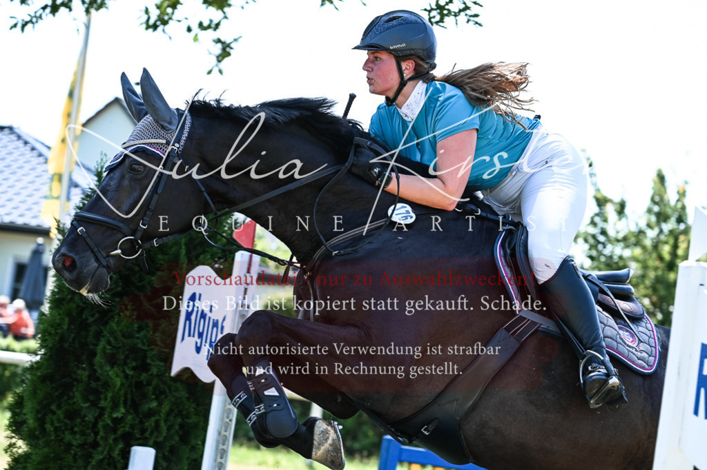 DSC_0077 | Pferde- und Turnierfotografie in Westsachsen. Pferdeportraits, Auftragszeichnungen und intuitive Kunst.