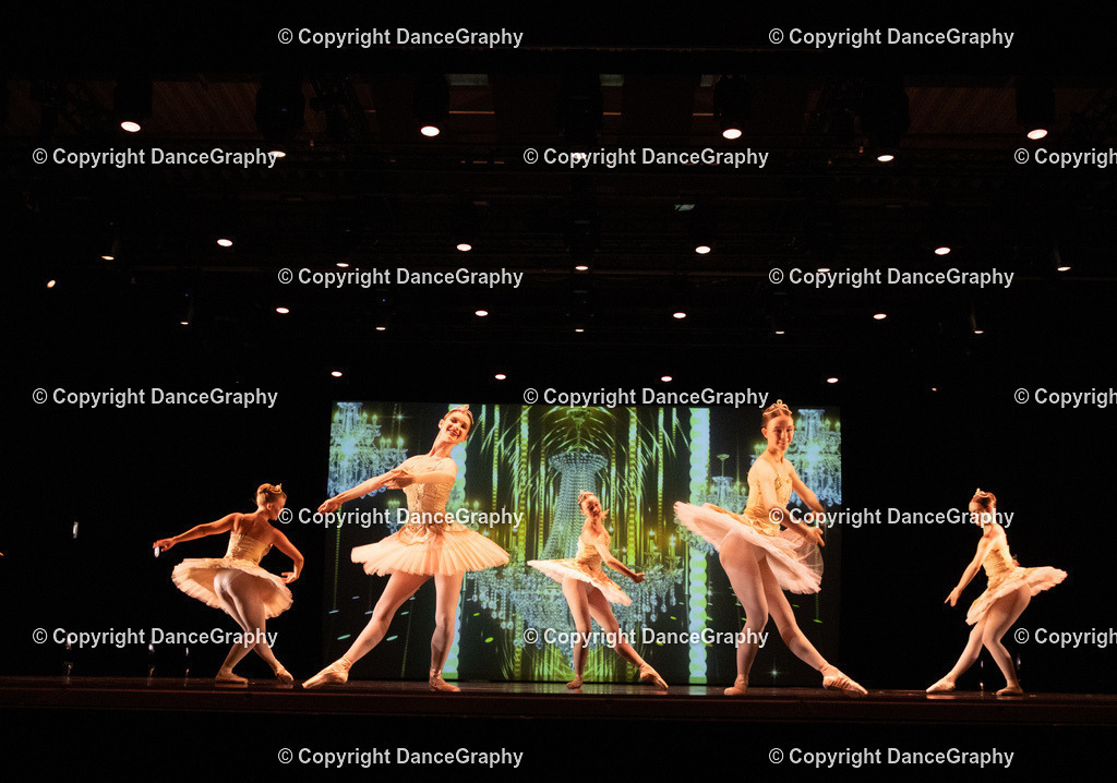 GPHY6537 | DanceGraphy - Realisiert mit Pictrs.com