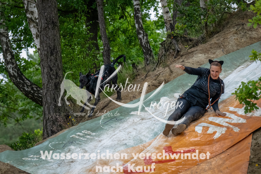 1216_ZZ91768-Bearbeitet | kk-dogfotos