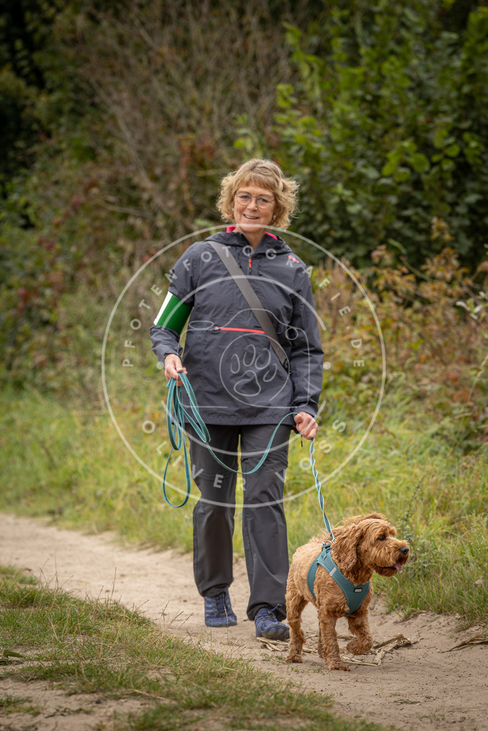 Pfotenfotografie_DV3A8579 | Hundefotografie, Tierfotograf, Pfotenfotografie, Fotoshooting Hund, Hunde Portrait, Hundesport, Hundeportraits, Heideshooting, Hunde, Sportfotograf, Hundefotograf, Turnierhundsport, THS,  - Realisiert mit Pictrs.com
