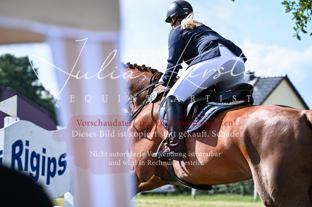 DSC_7761 | Pferde- und Turnierfotografie in Westsachsen. Pferdeportraits, Auftragszeichnungen und intuitive Kunst.