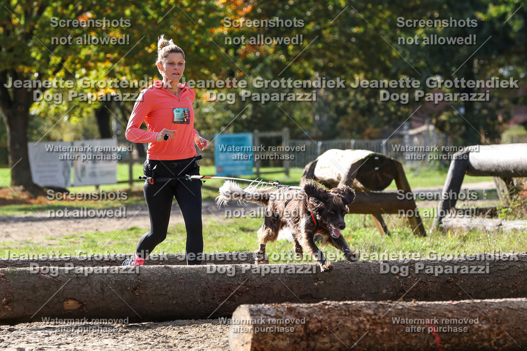 Dog Paparazzi - Strongdog 10-25-5908 | Dog Paparazzi Jeanette Grottendiek Fotografie & Videografie - Realisiert mit Pictrs.com