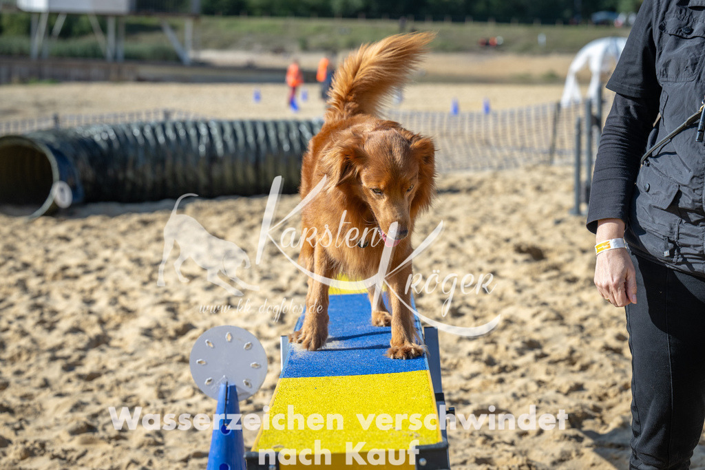 1456_ZZ92048 | kk-dogfotos