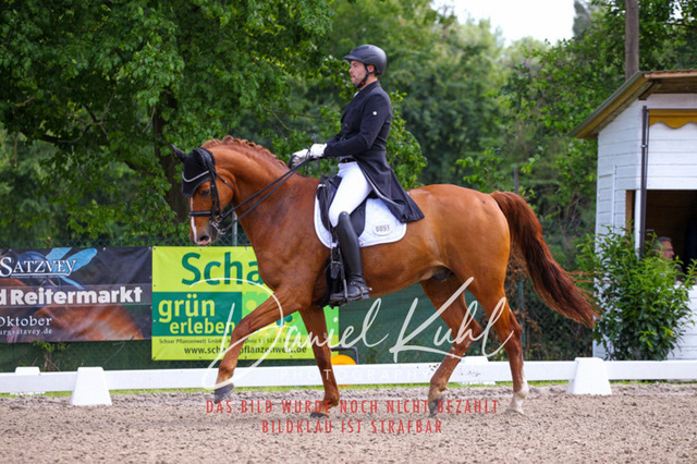 DKP41285 | Turnierfotos kaufen im Webshop von Daniel Kuhl Photography – entdecke professionelle Reitsportfotos aus Turnieren & Events. Hochwertige Turnierbilder online bestellen & sichern. Jetzt Fotos von Reitsportturnieren kaufen!