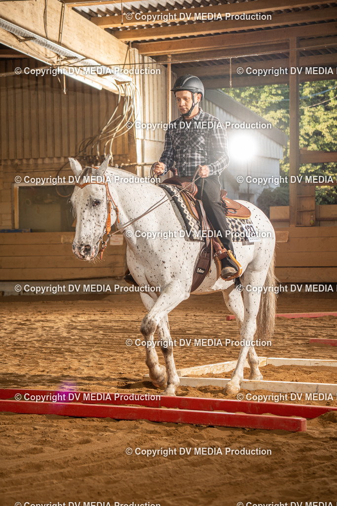 NID02482 | dv-media-shop - Realisiert mit Pictrs.com