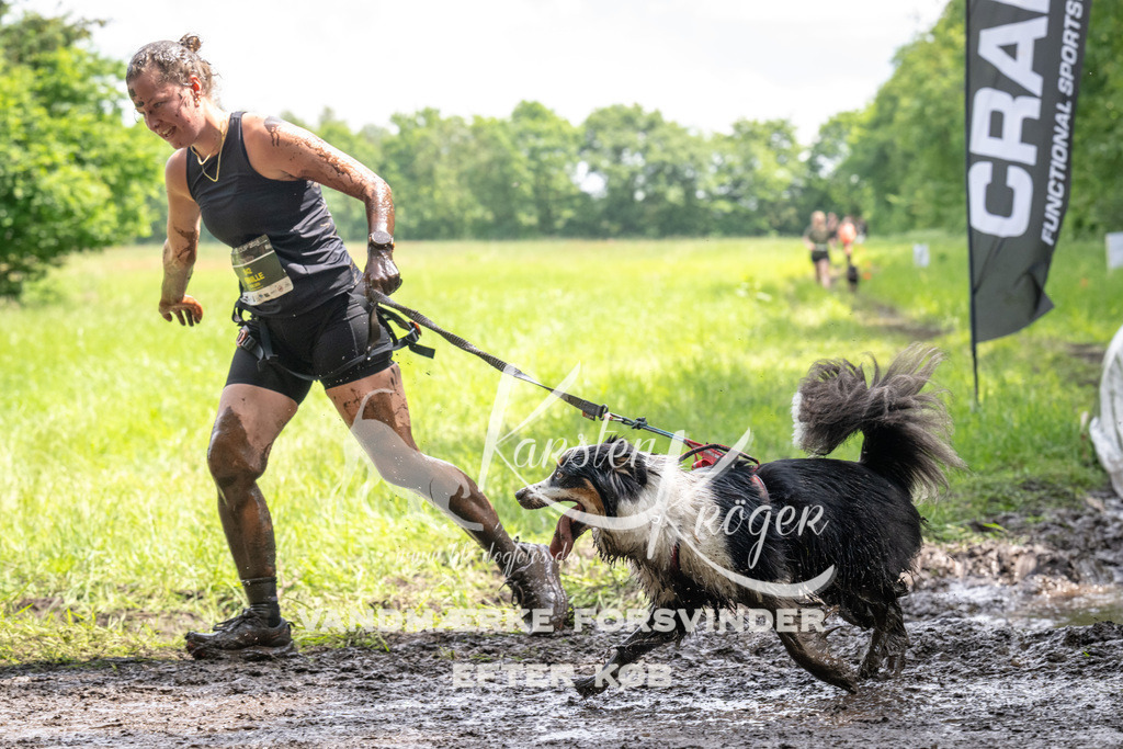 1238_ZZ92698 | kk-dogfotos