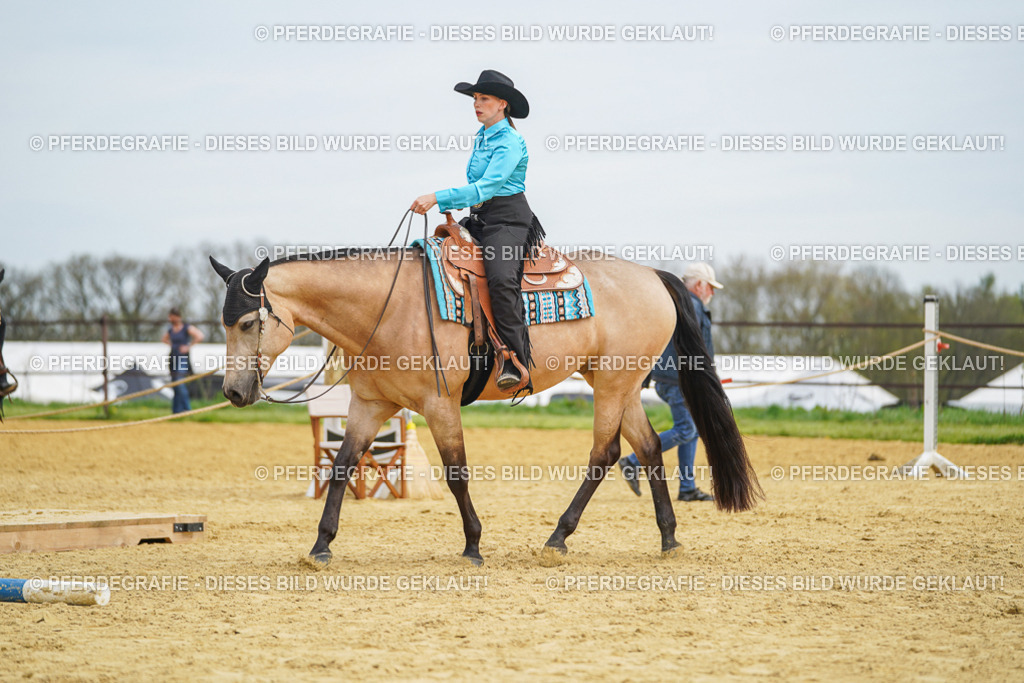 DSC03443 | Pferdegrafie